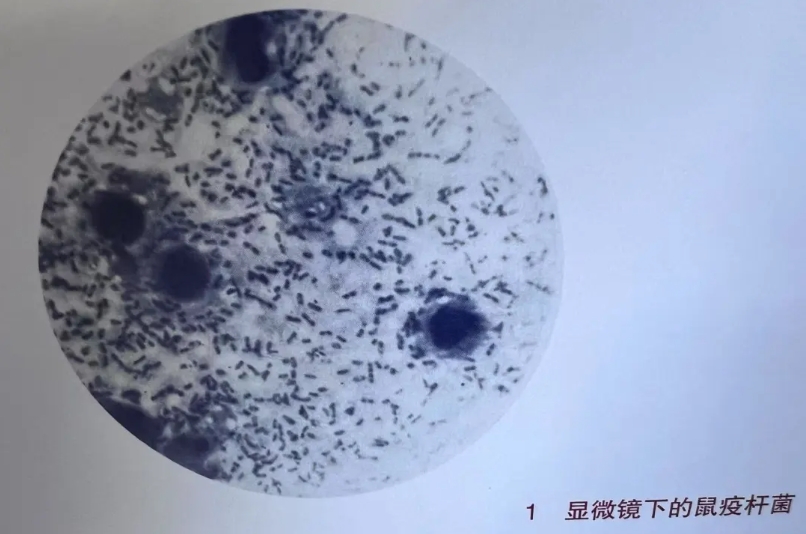 微信截图_20250522140640.jpg